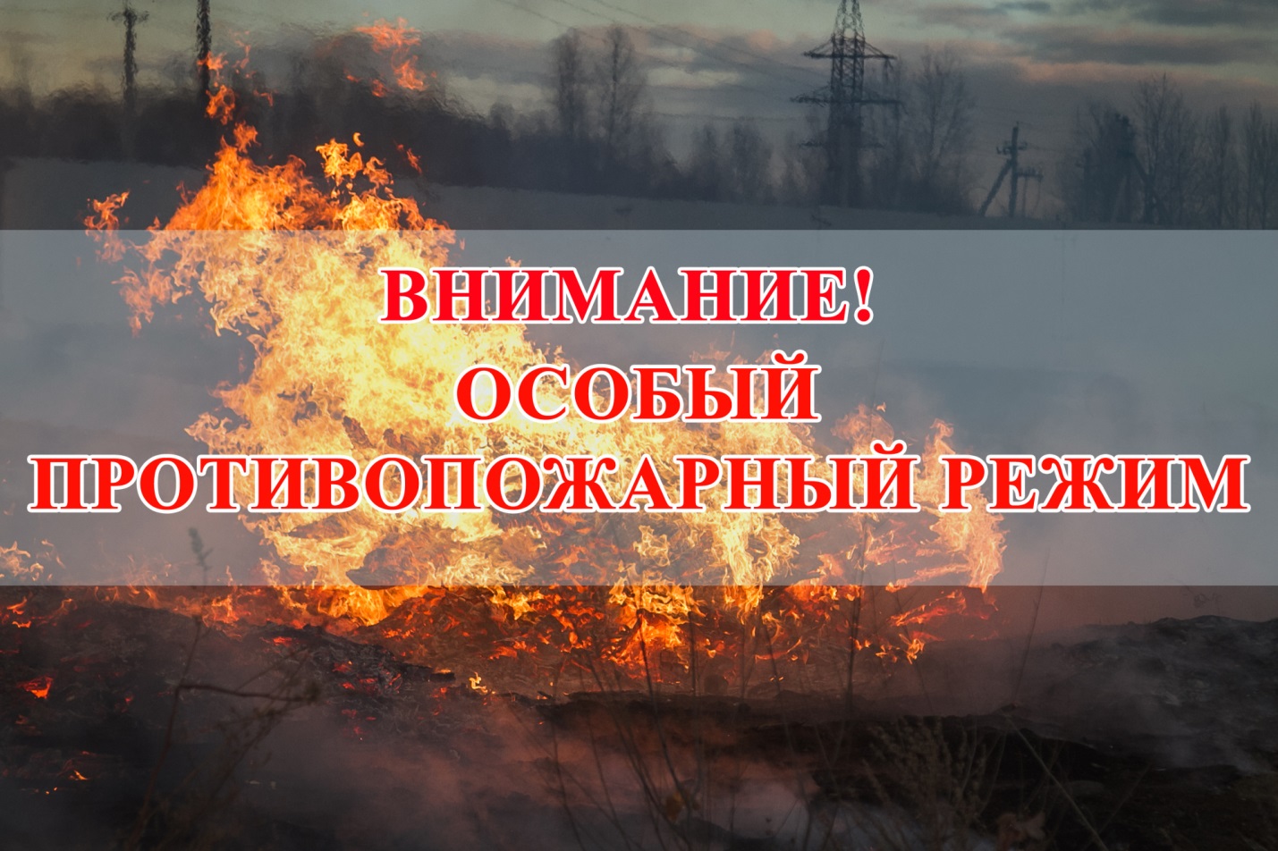 На территории Красноярского края введен особый противопожарный режим!.