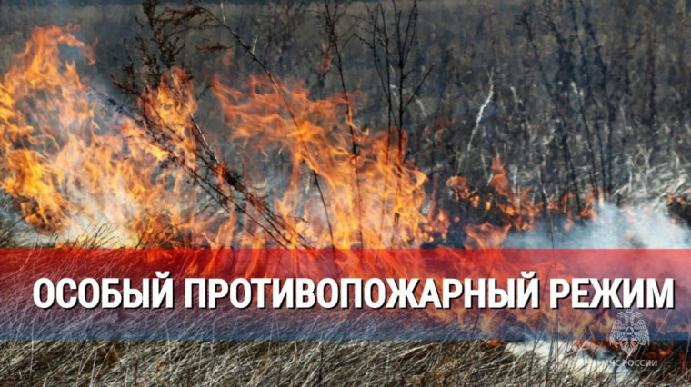 Особый противопожарный режим. Особый противопожарный режим.